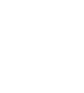 GoCodie